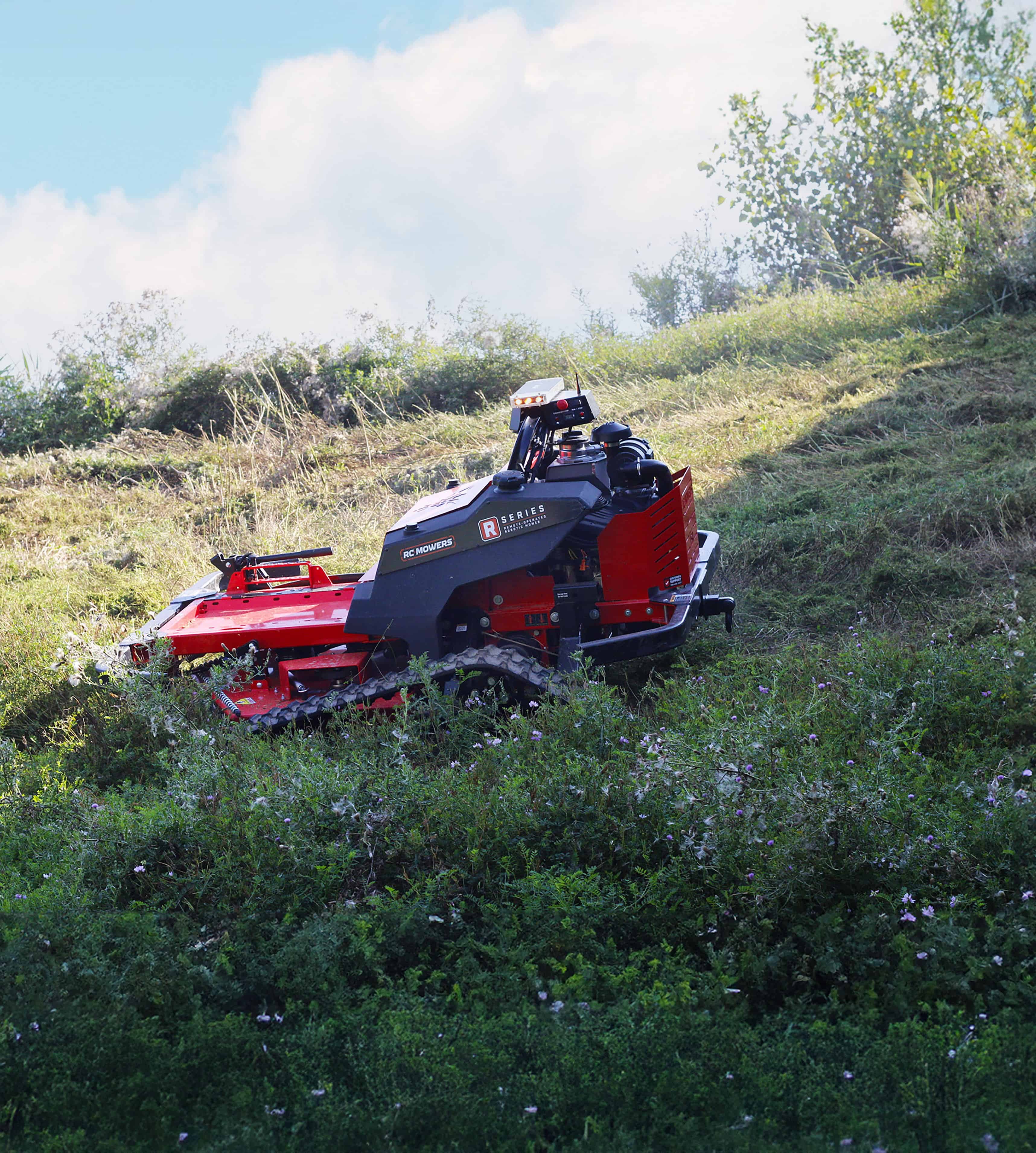 RC Mowers R-60 image 1